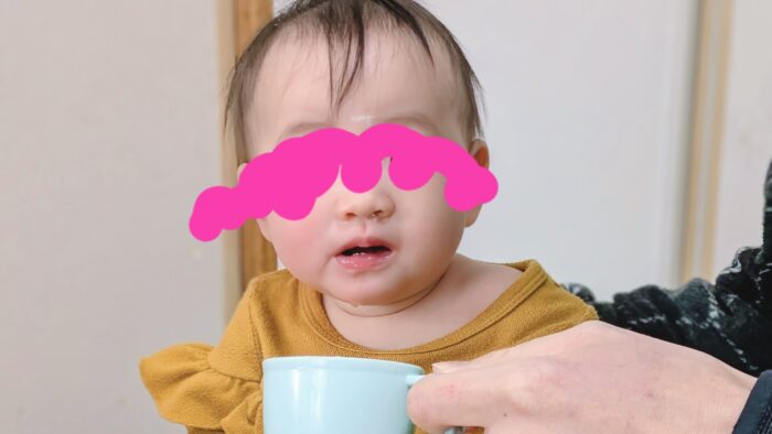 【体験談】9カ月赤ちゃん熱痙攣で救急搬送。家族がインフルエンザに次々と感染した話