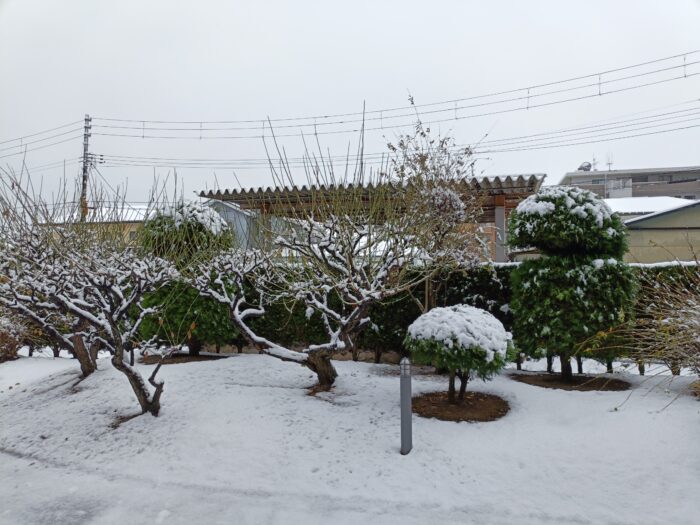 今年、在宅で働いていて一番よかったと思えた瞬間の話