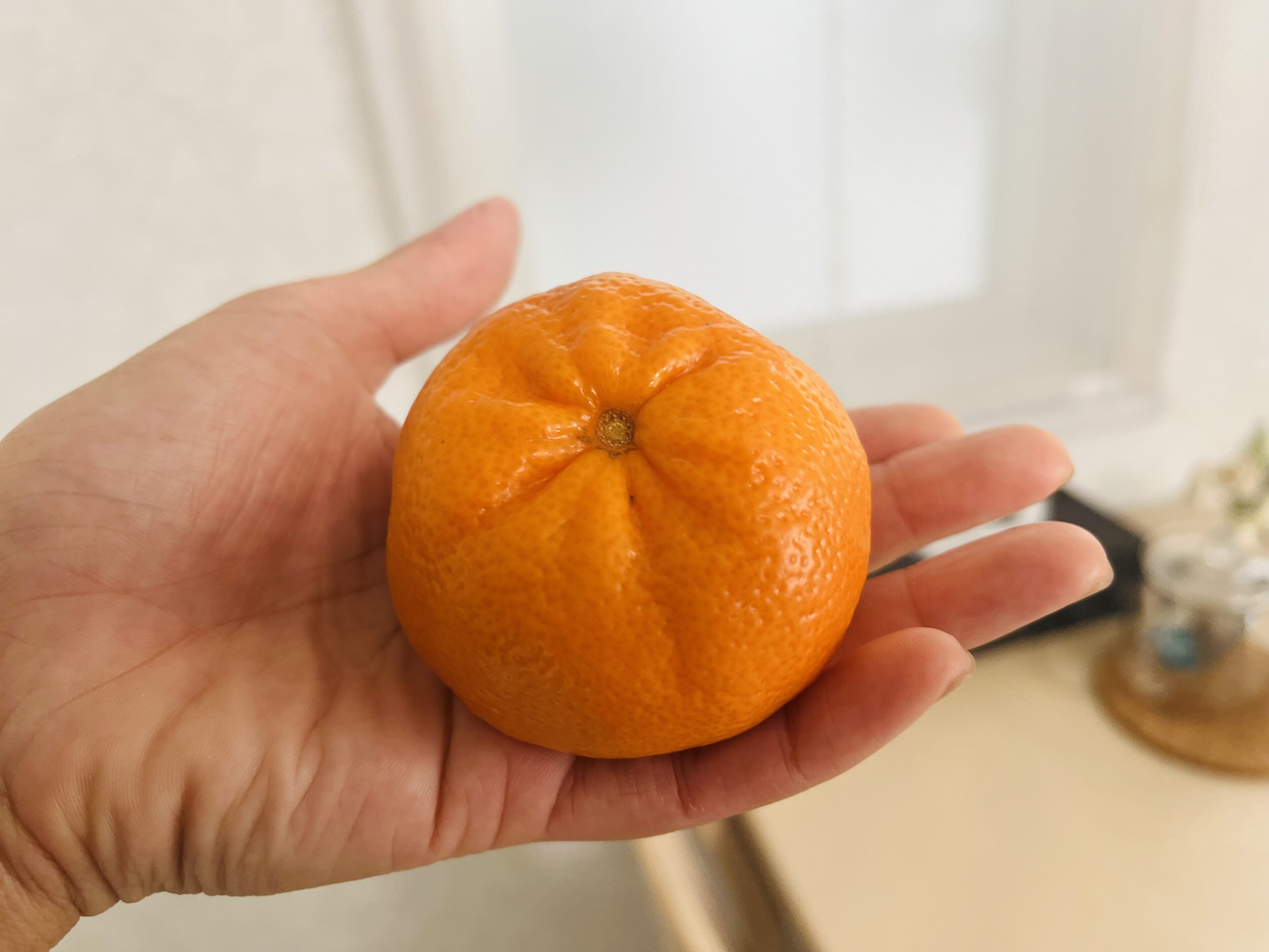 甘いのに腐りにくい。みかんのようでみかんじゃない！マーコットの魅力