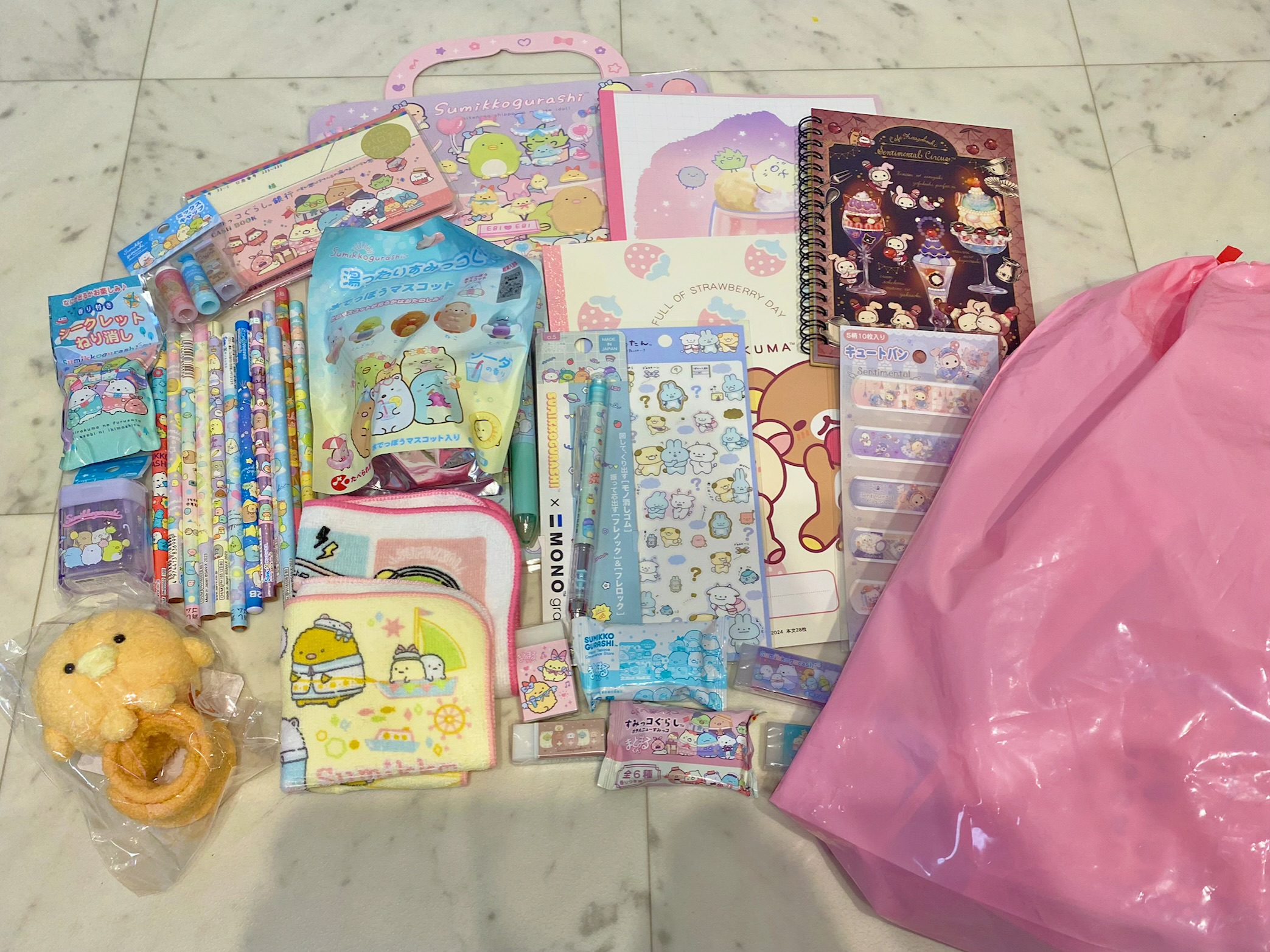 ボールペン一本で元がとれる！？イオンのピンク福袋税込1100円に出会えた！