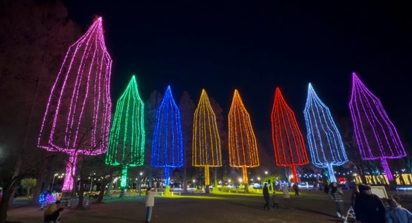 20m超のクリスマスツリーが8本！足立区のイルミネーションが素晴らしかった