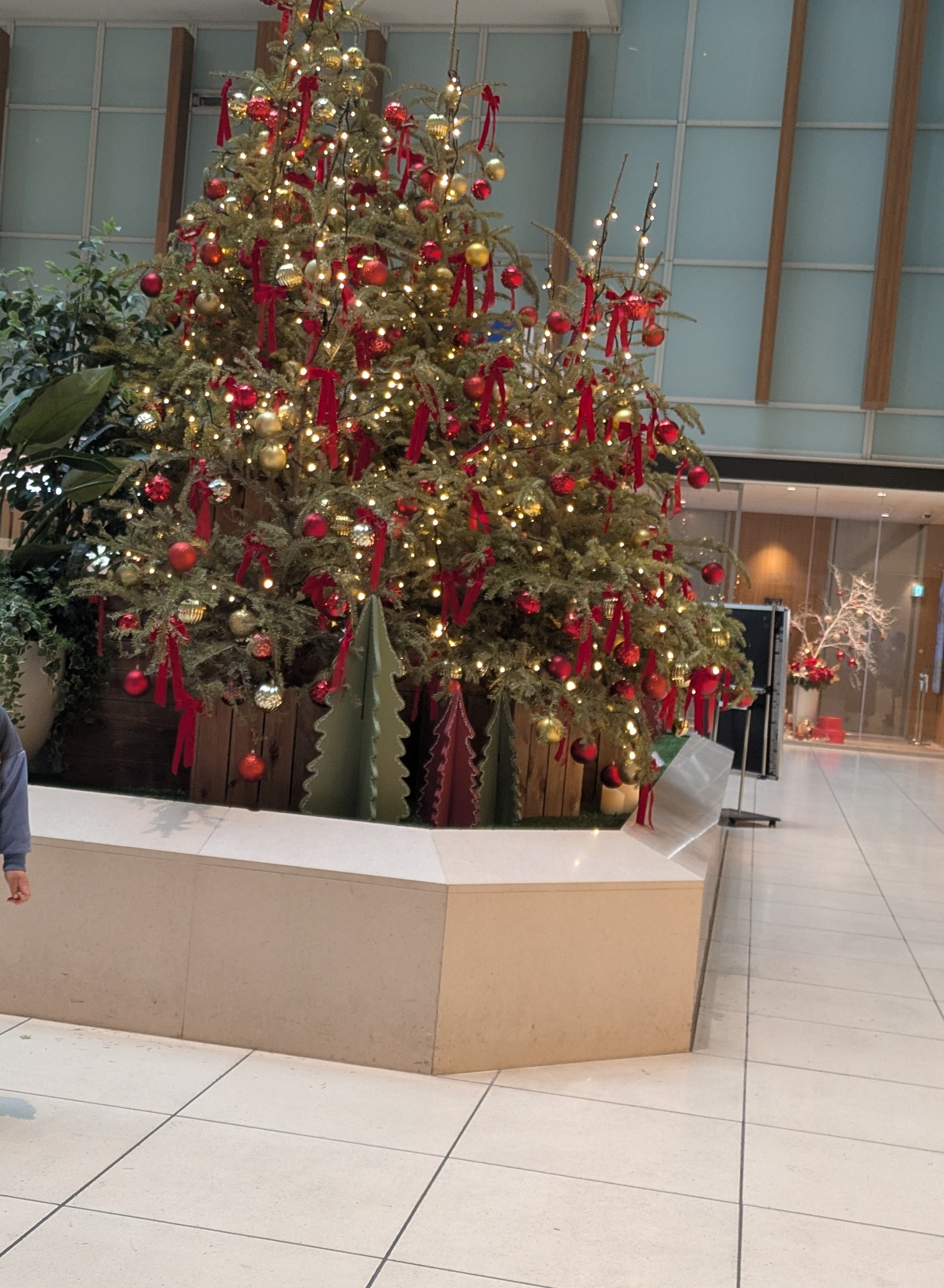 クリスマス前に始めた、4歳からのゆるいお金教育