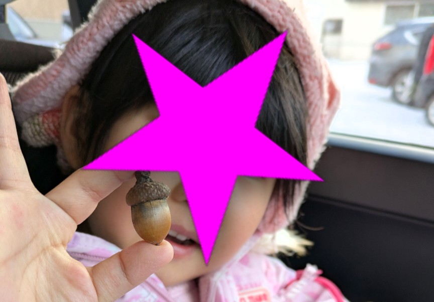 北海道では「どんぐり」でパンが買える!? 道民激推しのパン屋