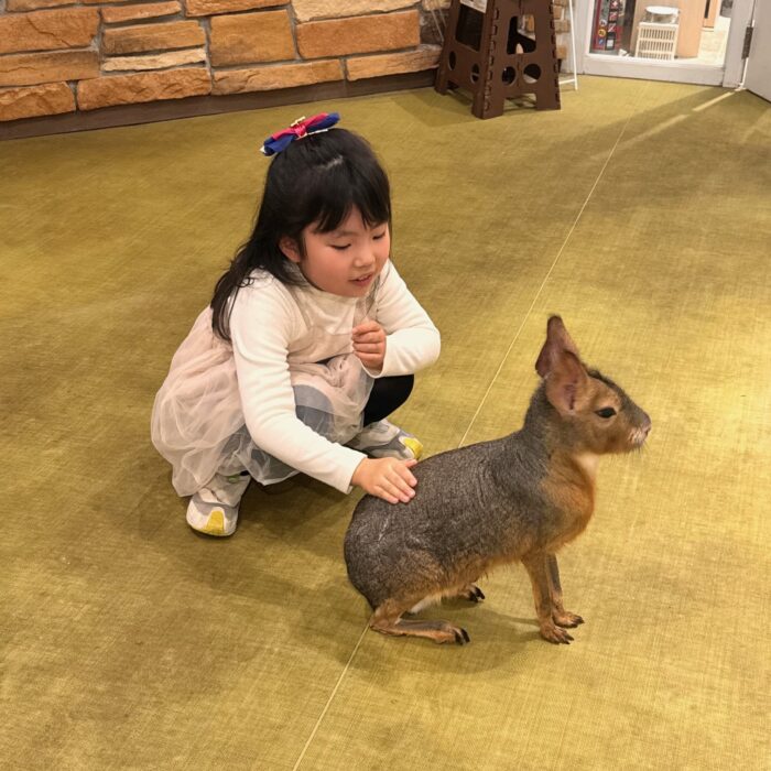 昭和生まれママ必見！今どきアニメのエンディング曲で鳥肌が立った話