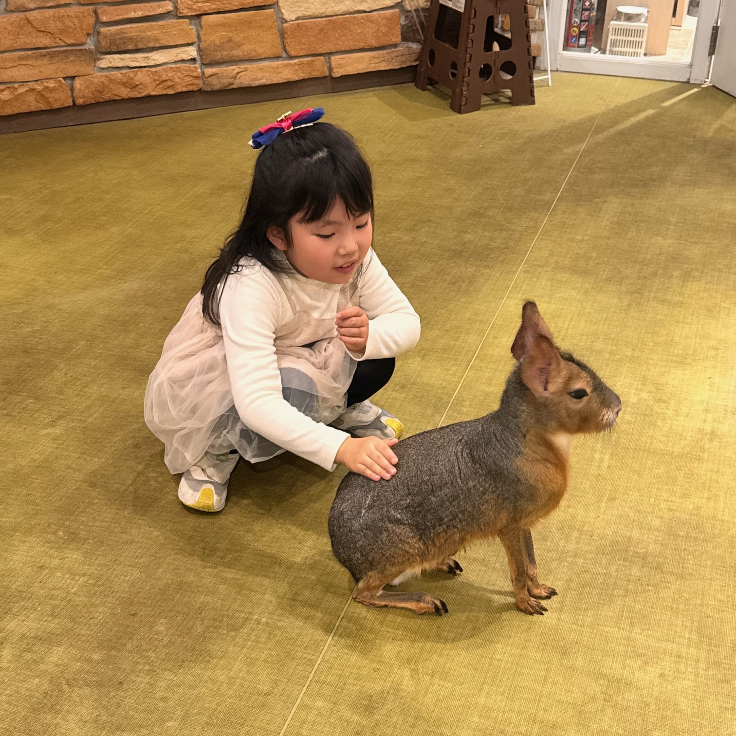 昭和生まれママ必見！今どきアニメのエンディング曲で鳥肌が立った話