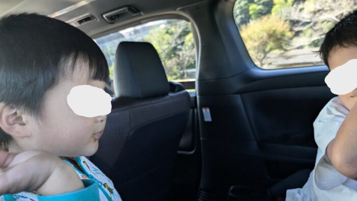 私、トゥントゥントゥンサフールに恋してる…！？子どもが口ずさんだ曲、実は…