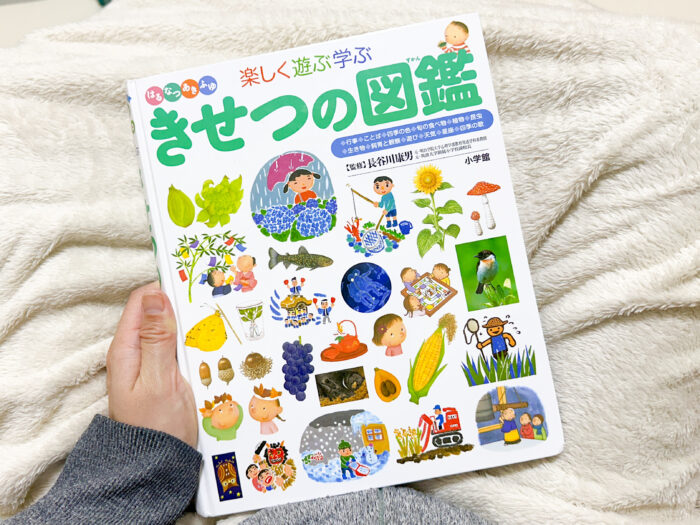 まだ間に合う！お正月こそ「図鑑」の出番。子どもの「なぜ？」を学びに変える