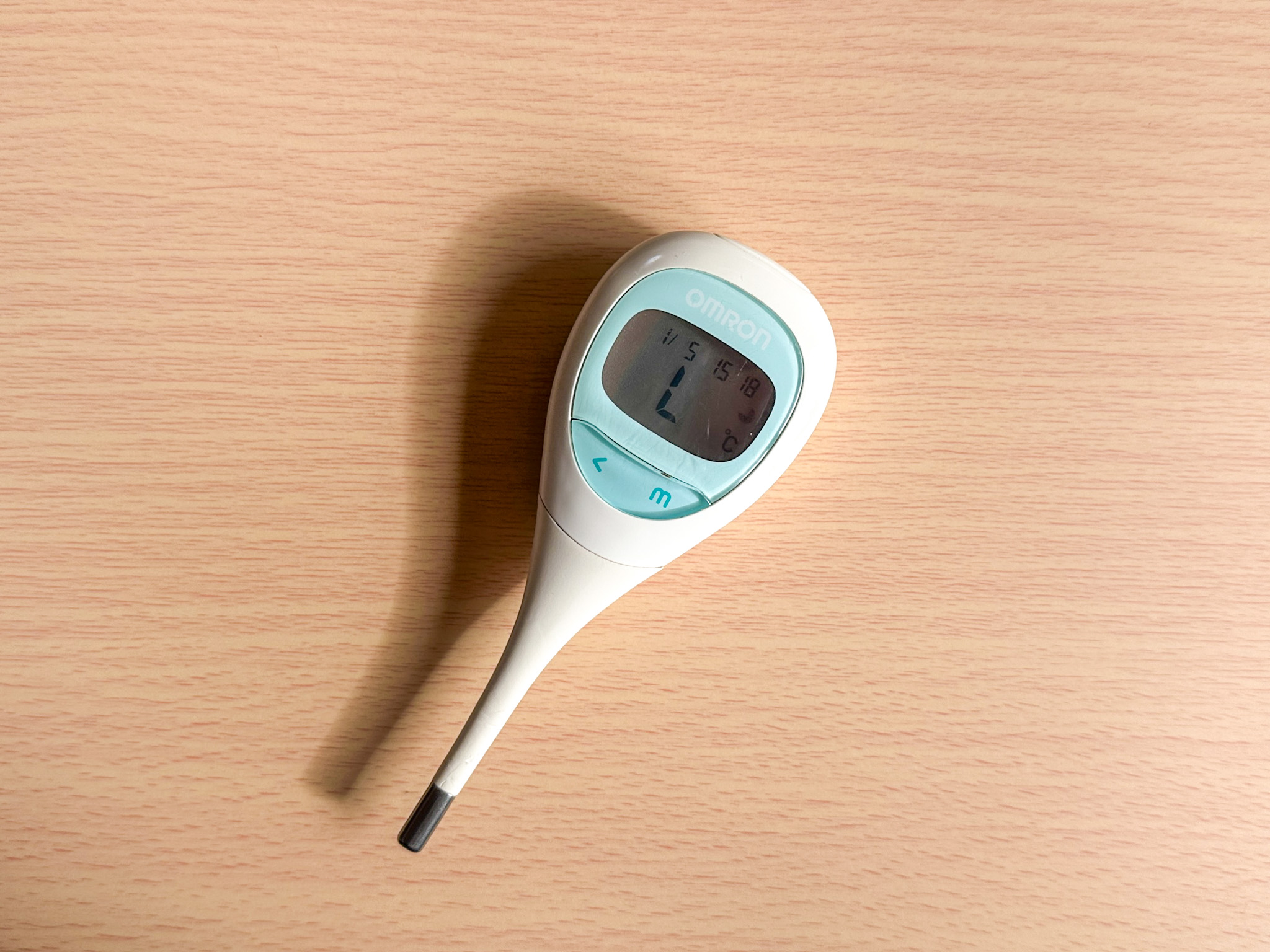 2025年、1度も熱を出さなかった5歳の双子。その「強さ」を夫婦で話し合ってみた