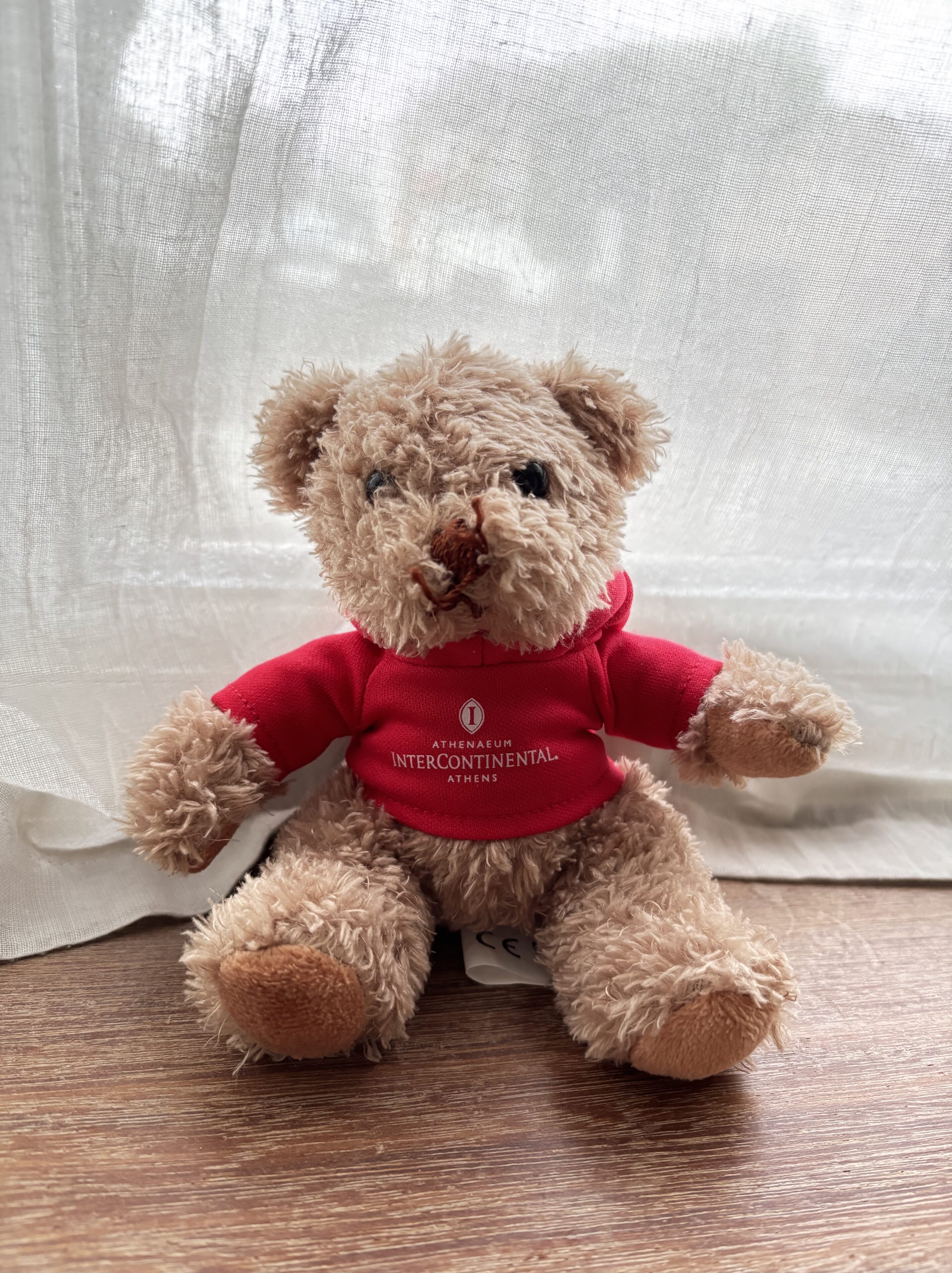 2026年は学びの1年に！TEDを使って親子で楽しく学ぼう