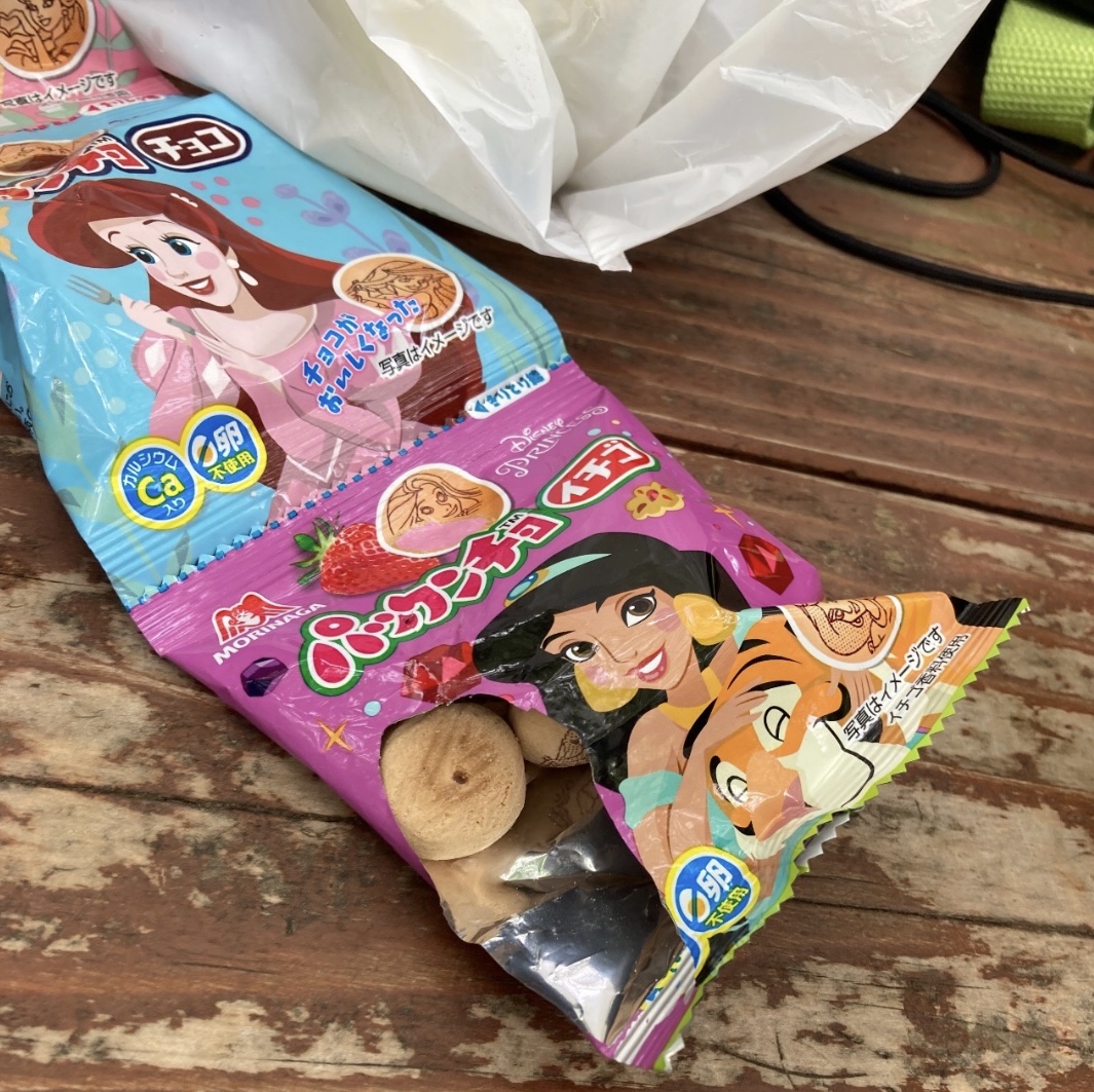 【実体験】公園でカラス被害!ほんの数分でお菓子を奪われました