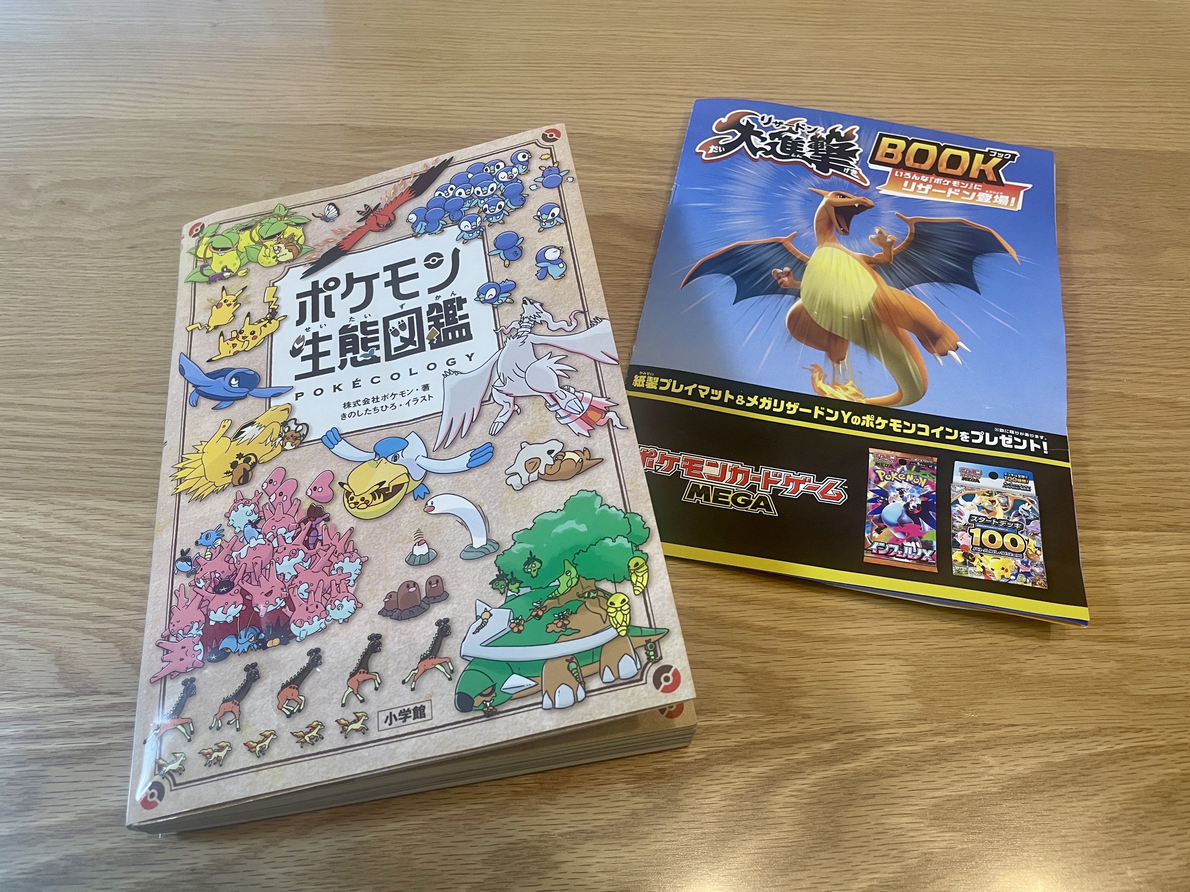 2026年注目】4歳息子が夢中な今だからこそ気になる「ポケパーク