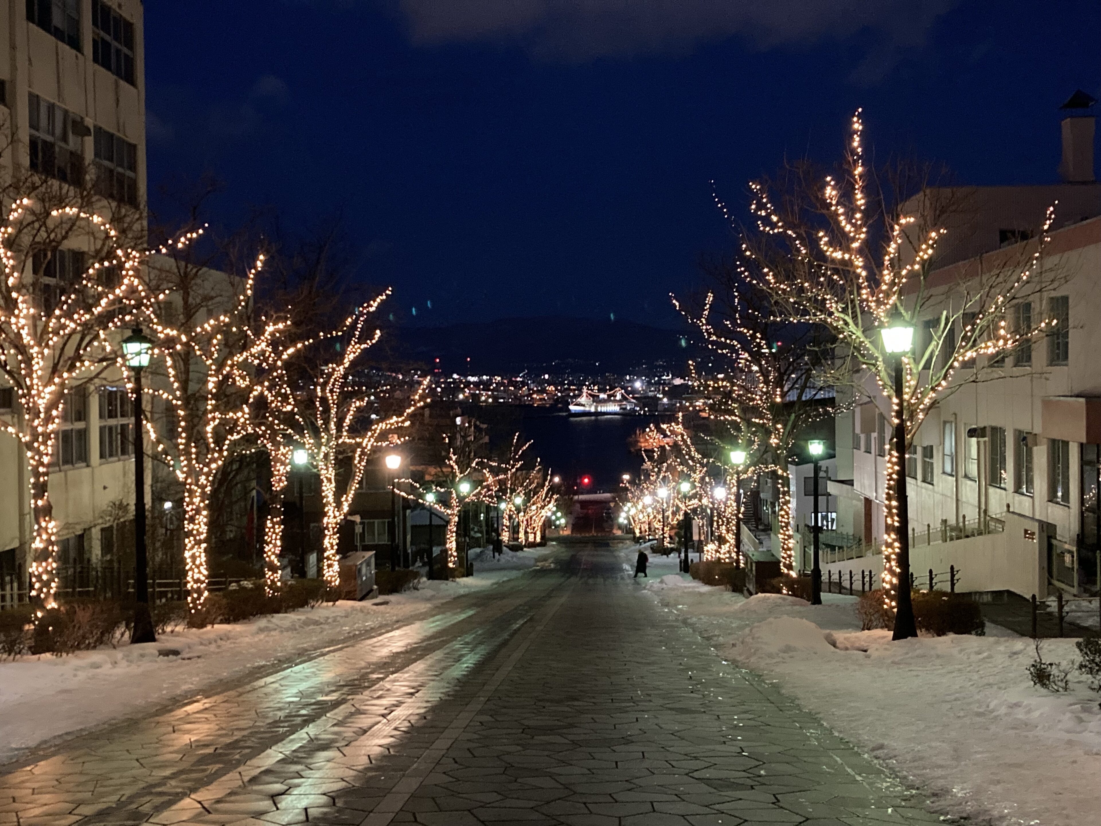 【北海道】子連れ函館旅、お寿司よりも「ラッピ」に、どハマり！！