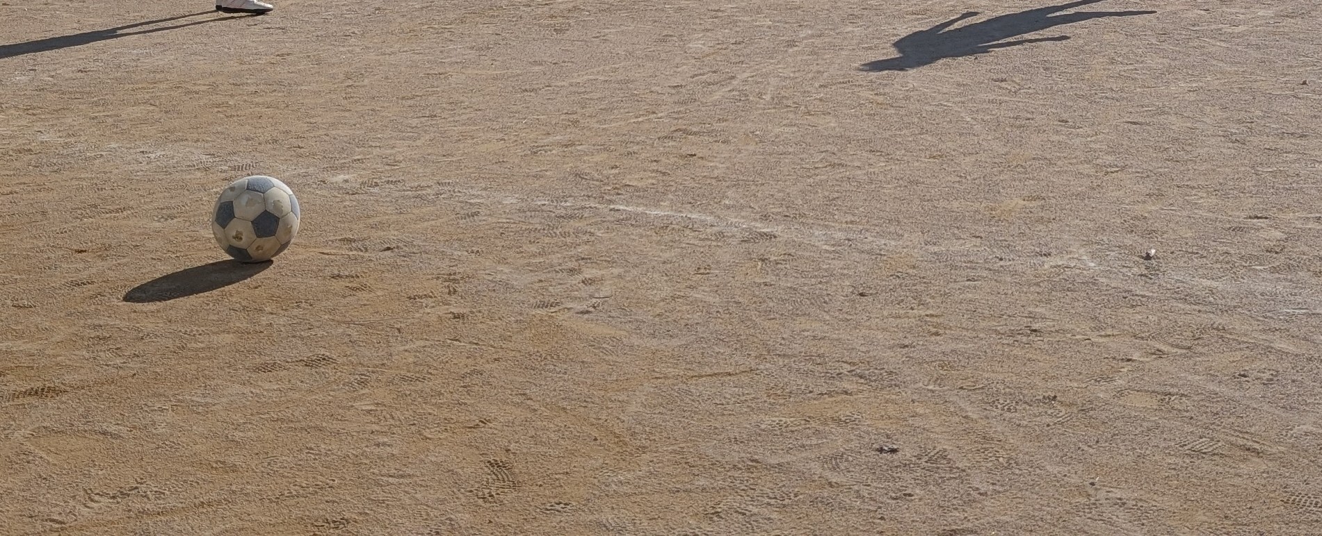 4人兄弟に「習い事、楽しい?」と聞いたら…全員違う本音がリアルすぎた