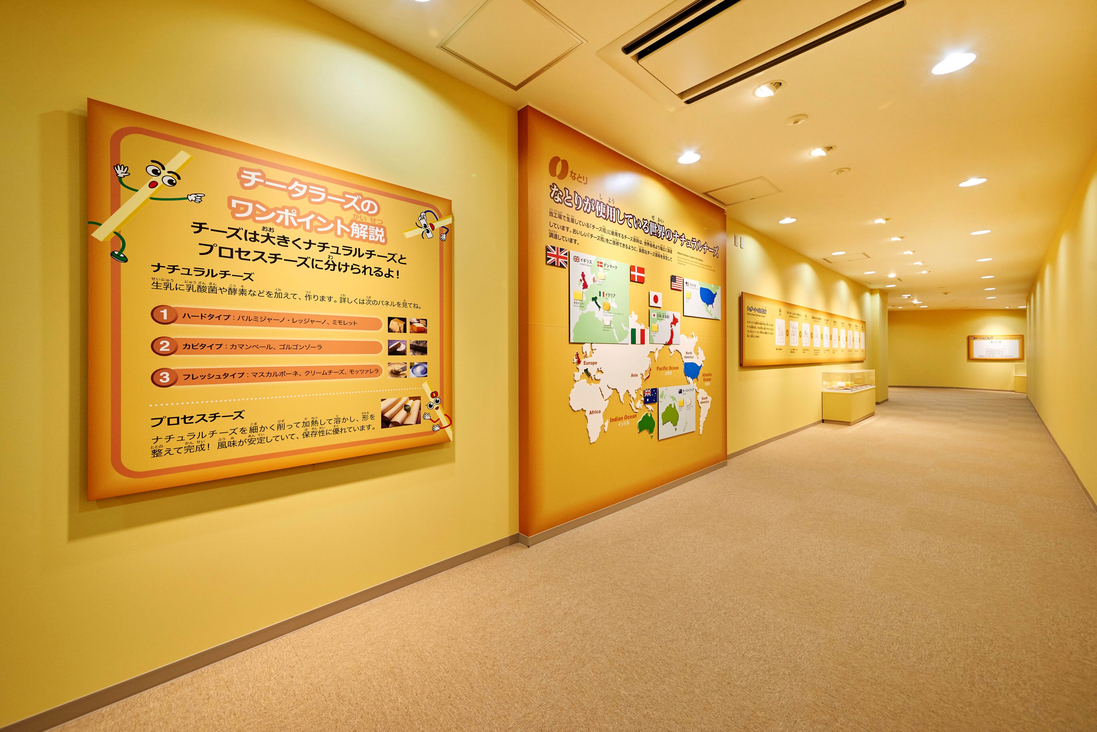 締め切り間際！チーズ鱈など食べ比べ試食やお土産も！「なとりチーズファクトリー」工場見学