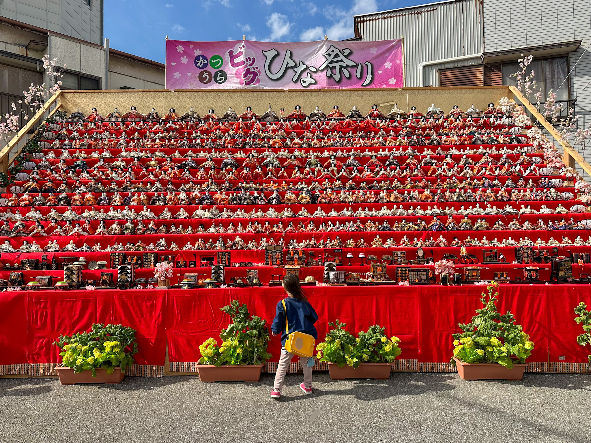 一度は訪れてほしい！かつうらビッグひな祭りの見どころガイド
