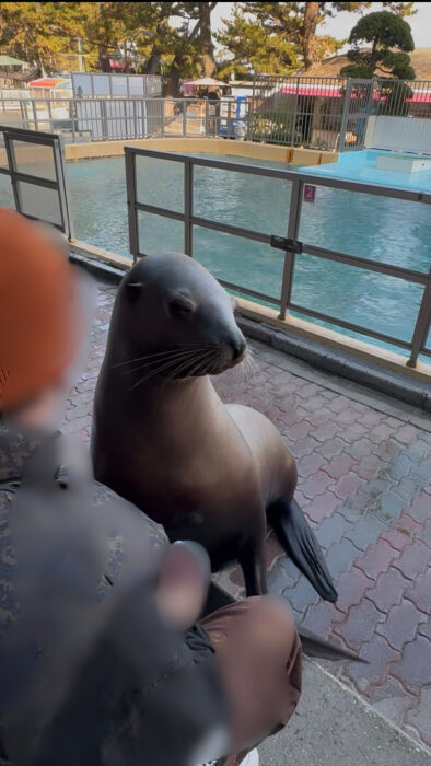 【高知県】「課金地獄」と話題の桂浜水族館！餌やり体験が楽しすぎて子どもが止まらない