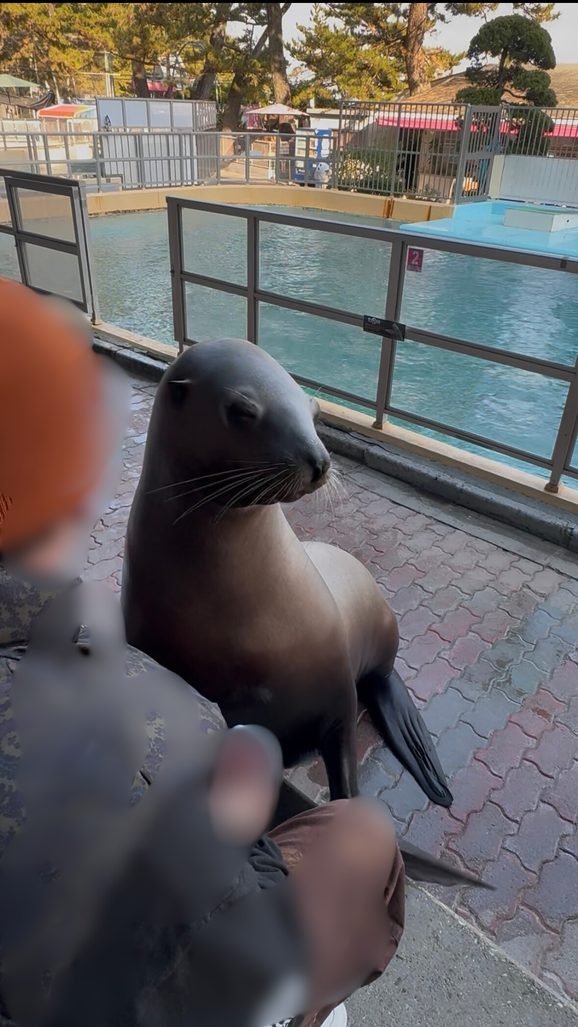 【高知県】「課金地獄」と話題の桂浜水族館！餌やり体験が楽しすぎて子どもが止まらない