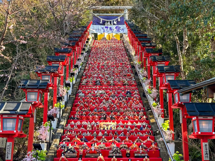 【千葉】かつうらビッグひな祭り「乳幼児連れ向け」ガイド