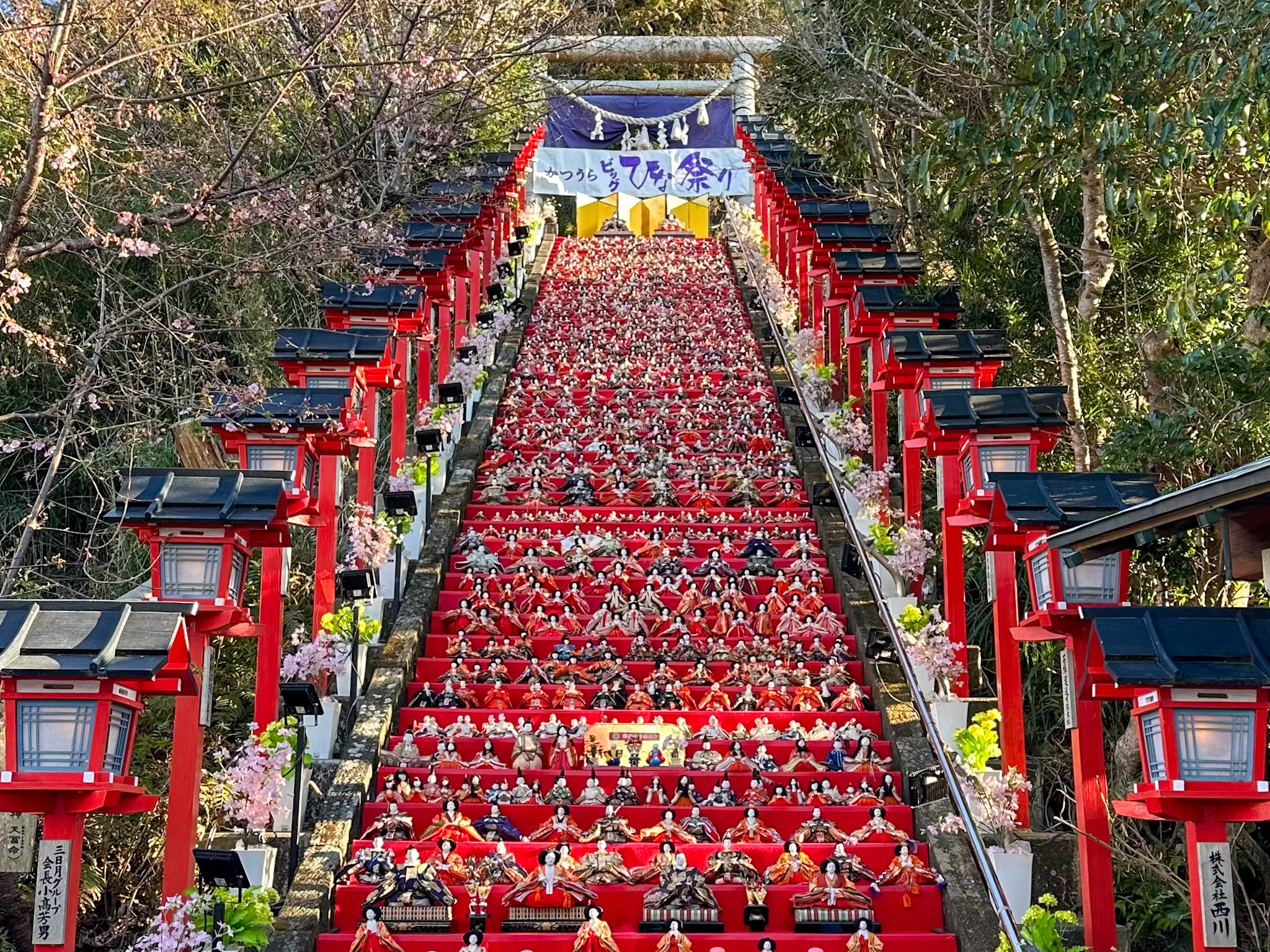 【千葉】かつうらビッグひな祭り「乳幼児連れ向け」ガイド