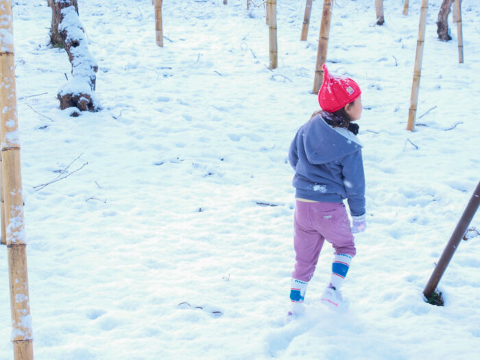 「最後までやりなさい」は逆効果だった…すぐやめたがる娘の真意