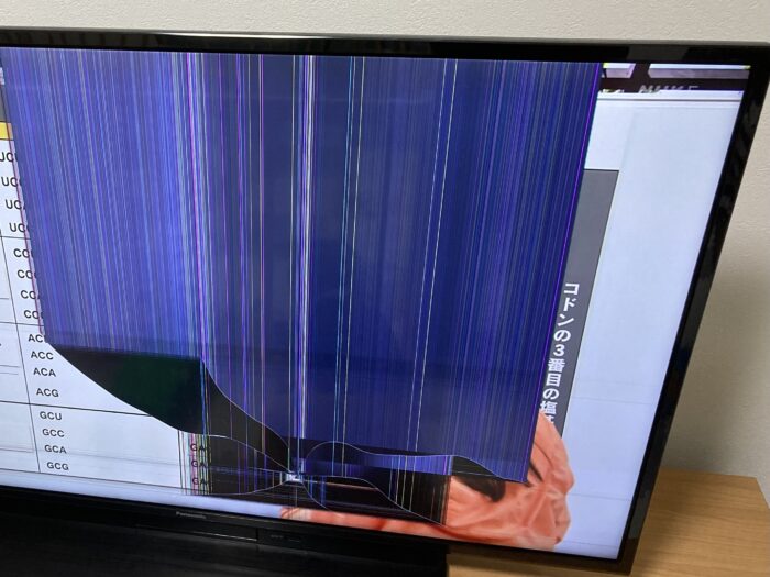 1歳児がそれ投げる!? テレビが壊れて後悔した2つのこと