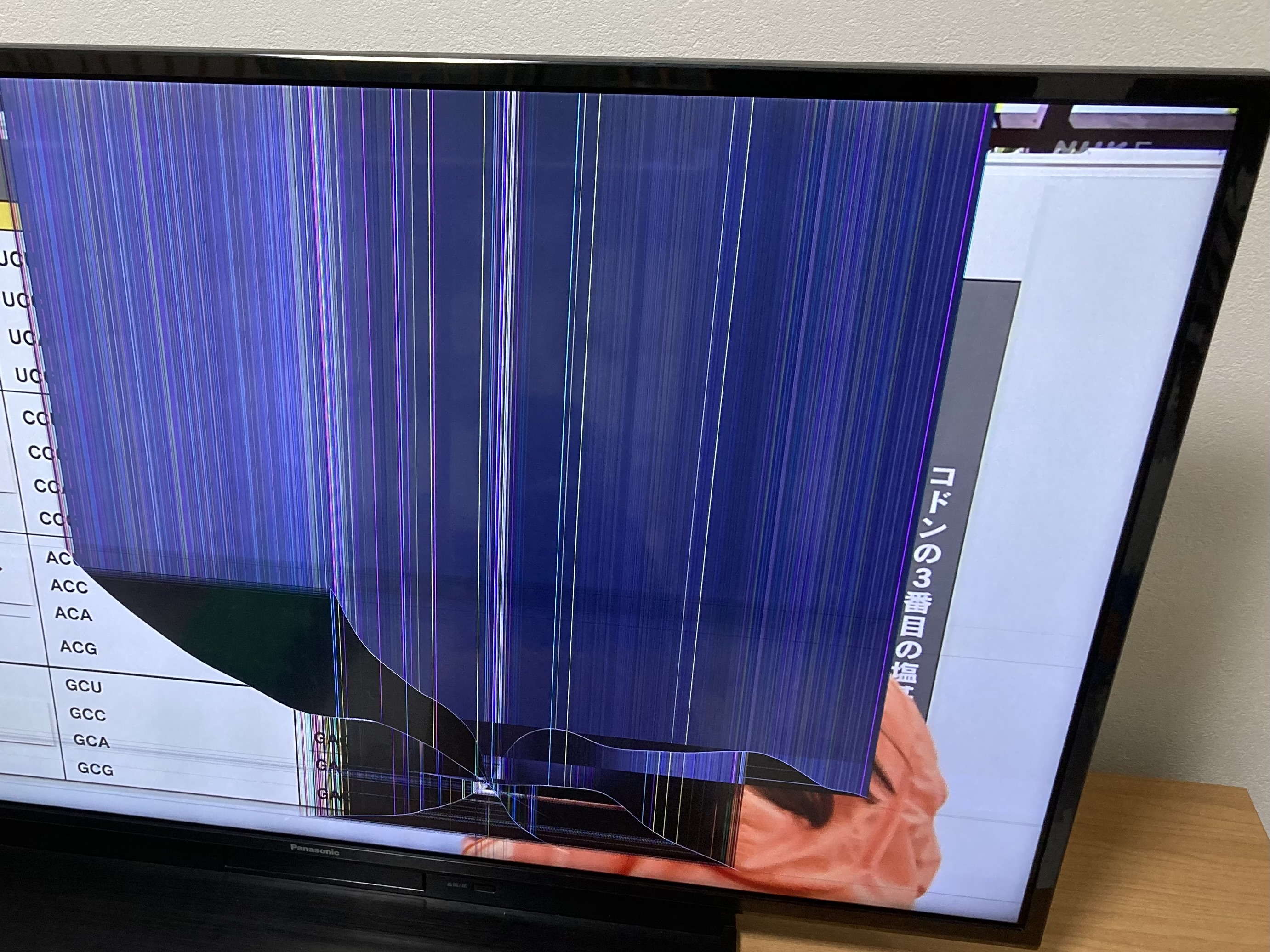 1歳児がそれ投げる!? テレビが壊れて後悔した2つのこと