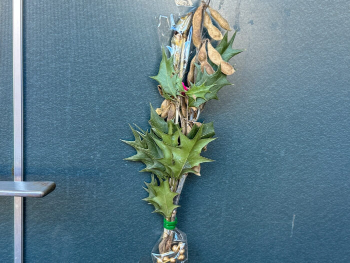 この名前知ってる？節分飾りが教えてくれた「母がつないでくれたもの」