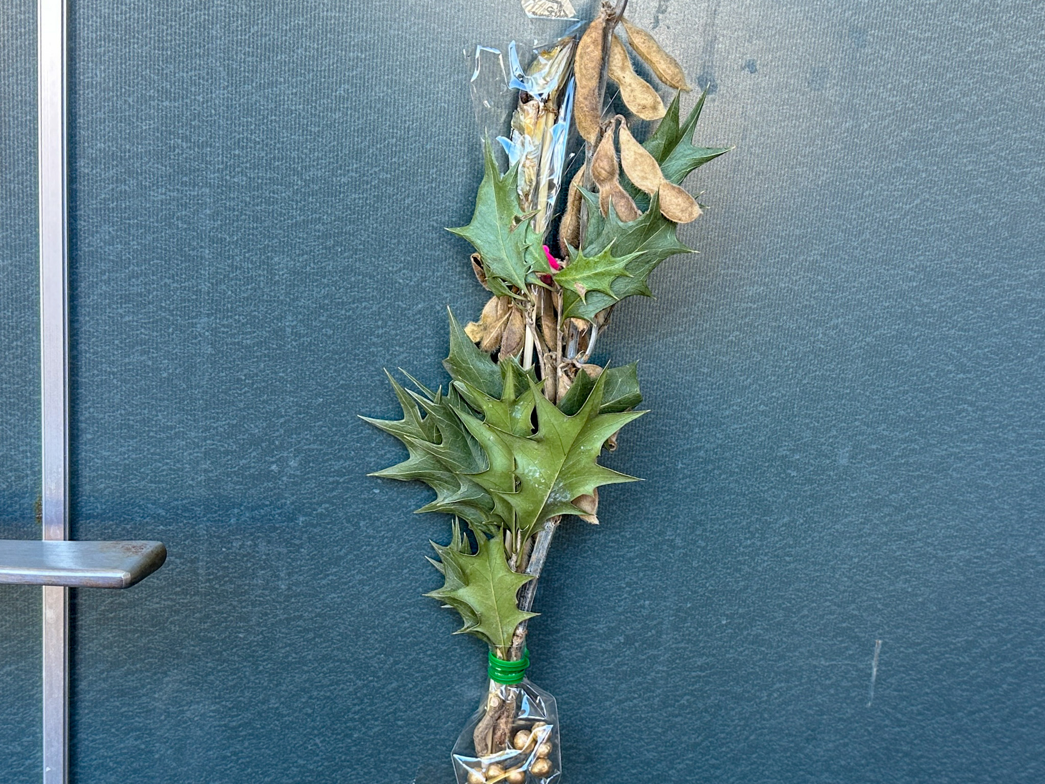 この名前知ってる?節分飾りが教えてくれた「母がつないでくれたもの」