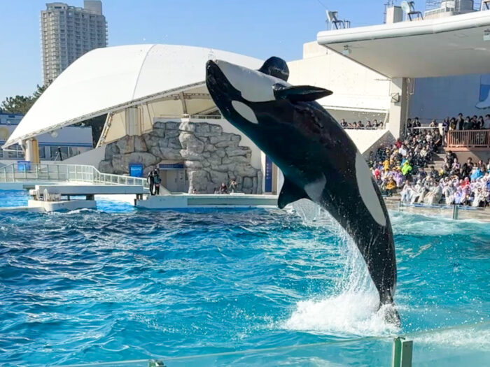 3月は「神奈川県民感謝月間」サザエさん一家も行く？あの場所がお得！