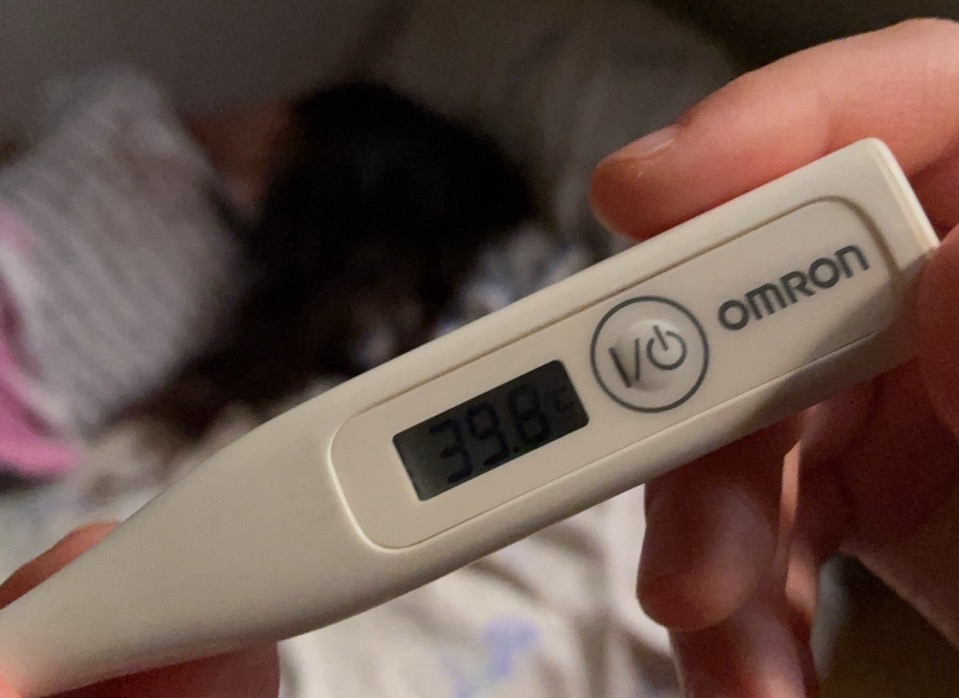 異国の地で突然の発熱40℃!ママぐったりのワンオペ旅マスト品6選