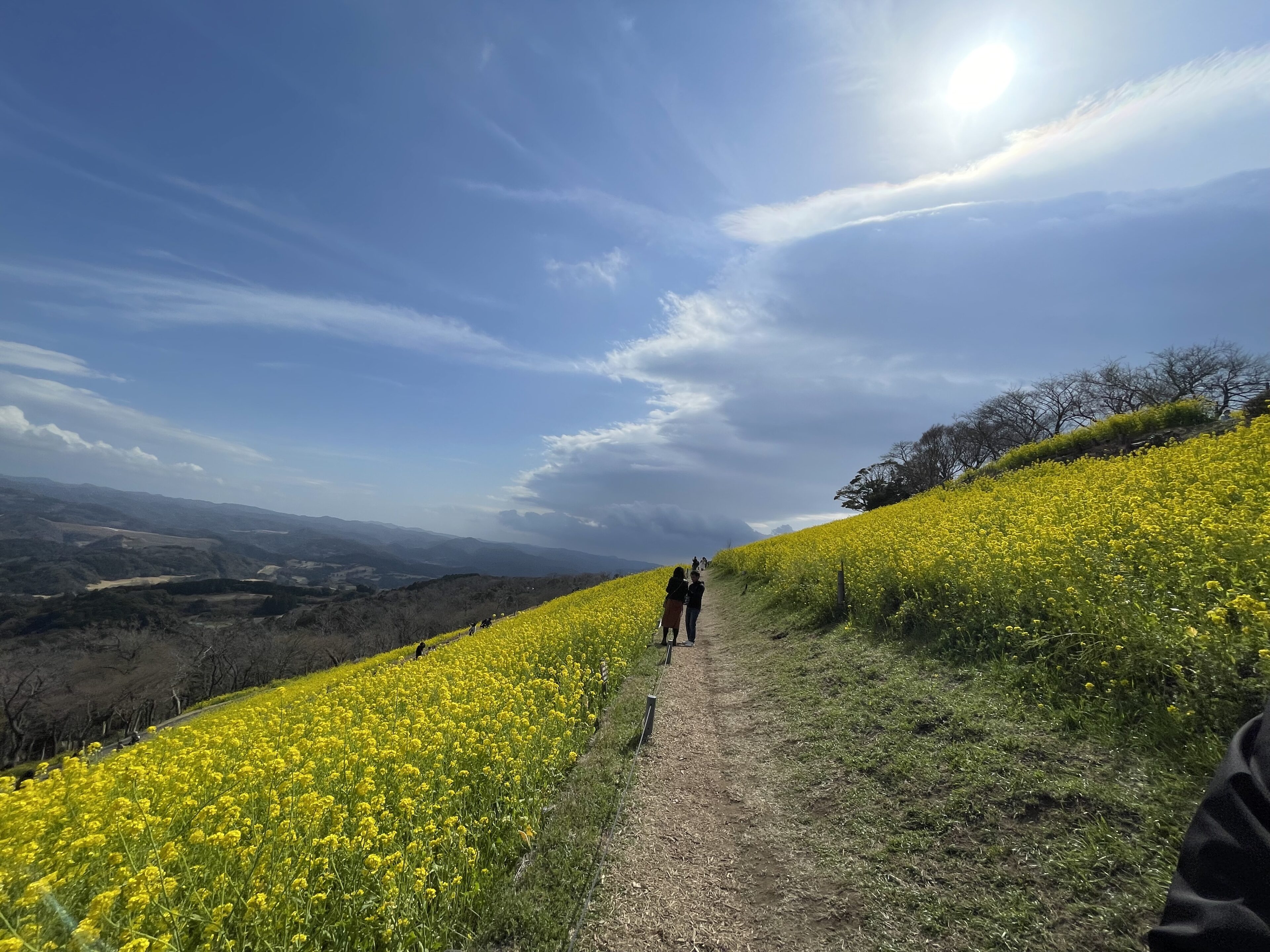 身近で麻疹の感染者が出たことで生後6か月で麻疹・風疹混合ワクチンを任意接種した次女の話