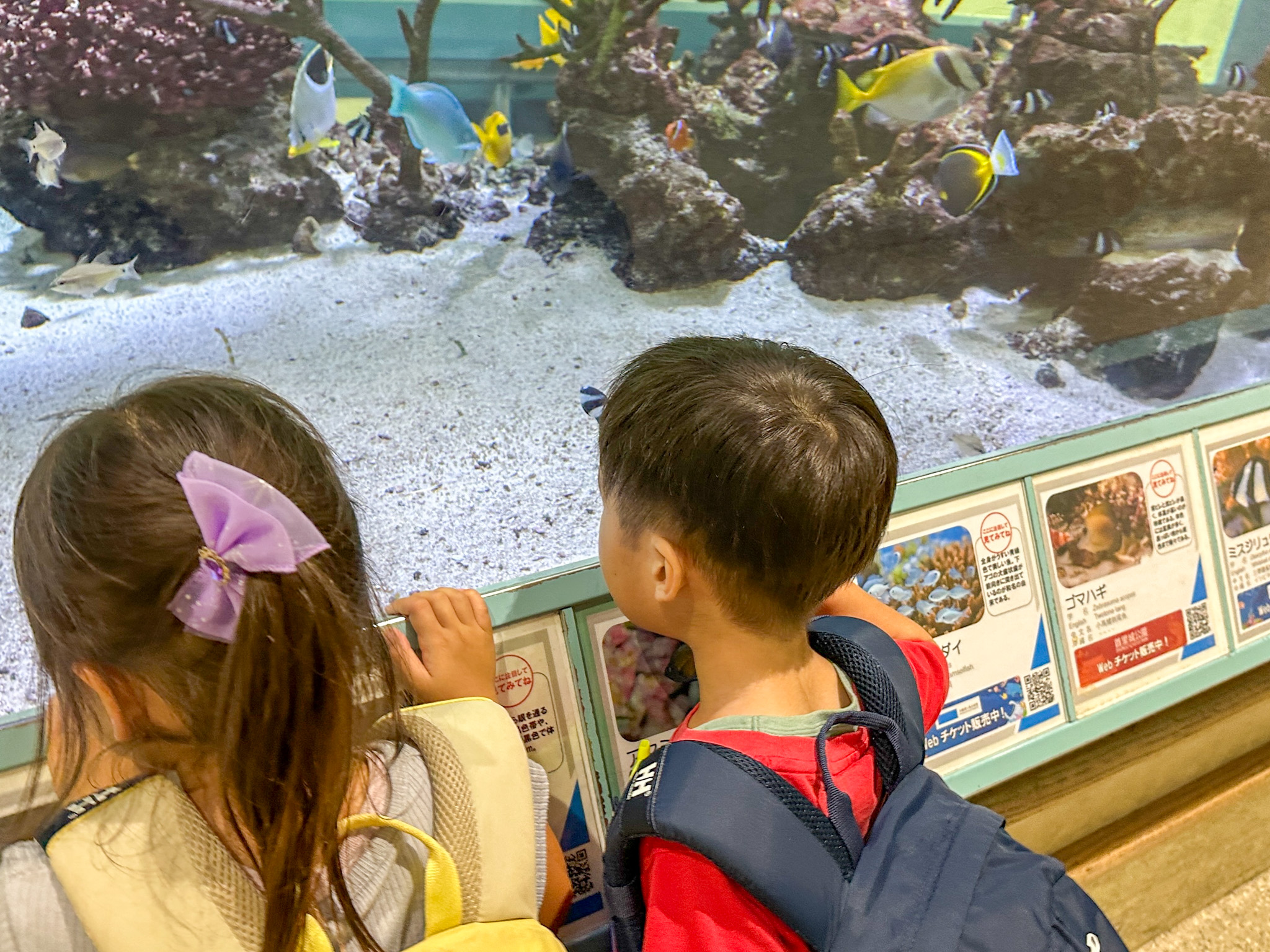 「ありがとう」は教えるものじゃなかった。沖縄での出会いで学んだこと