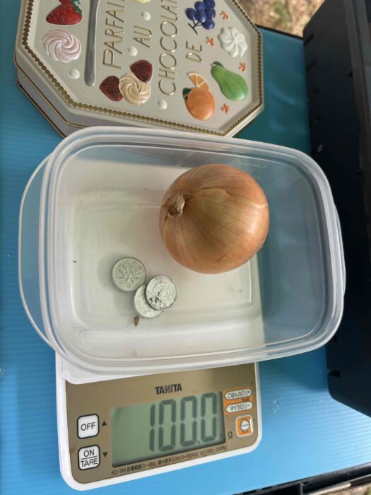 子どもブースで出店！地域のイベントに参加しました！