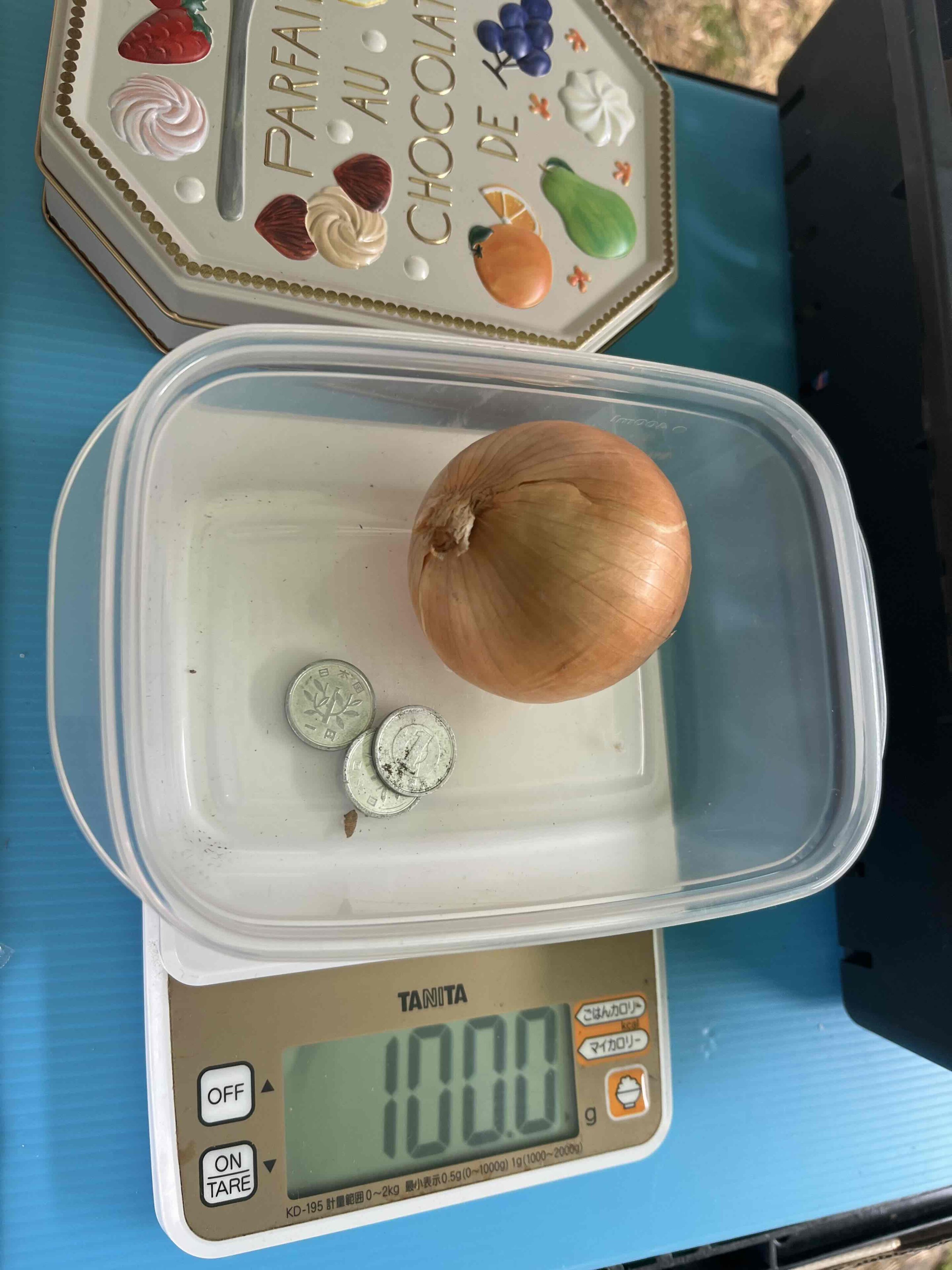 子どもブースで出店!地域のイベントに参加しました!