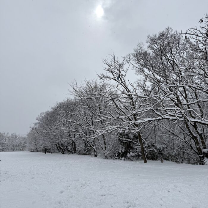 久しぶりの雪遊び！はしゃいだのは子どもたちより大人たち！？
