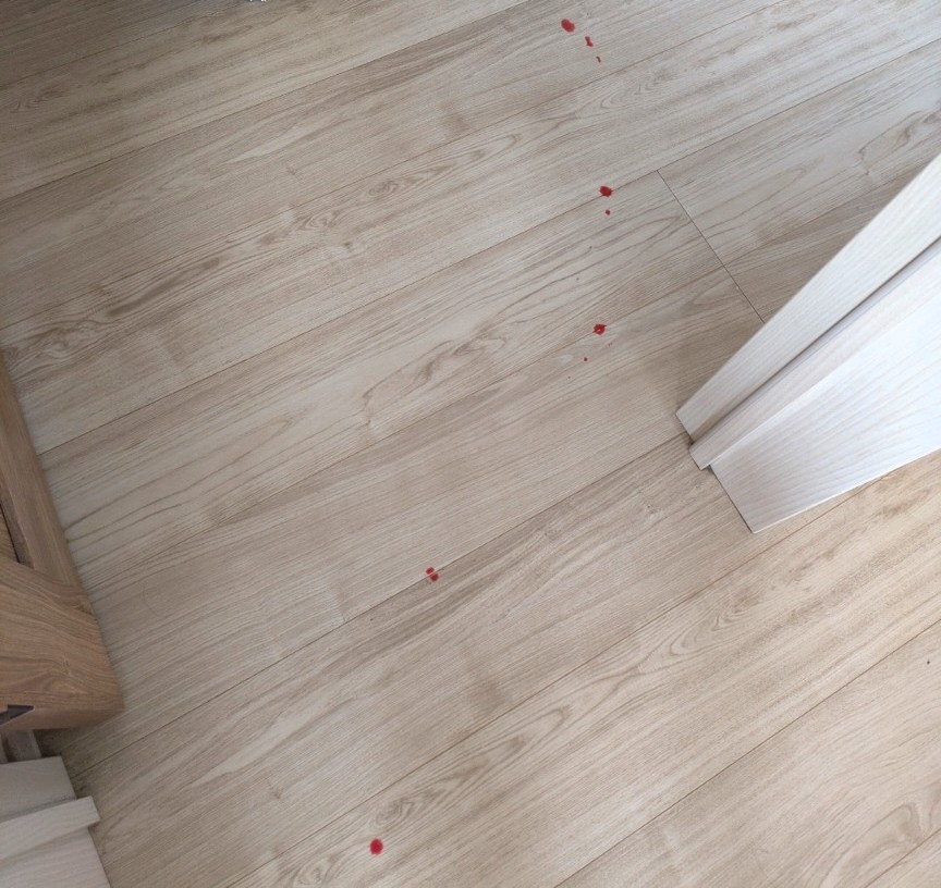 真冬のミステリー!事件は自宅で起きている!?血痕だと思ったらまさかの…