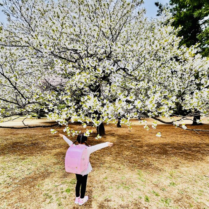 新1年生ママに伝えたい！「1年生のココが大変です」5選