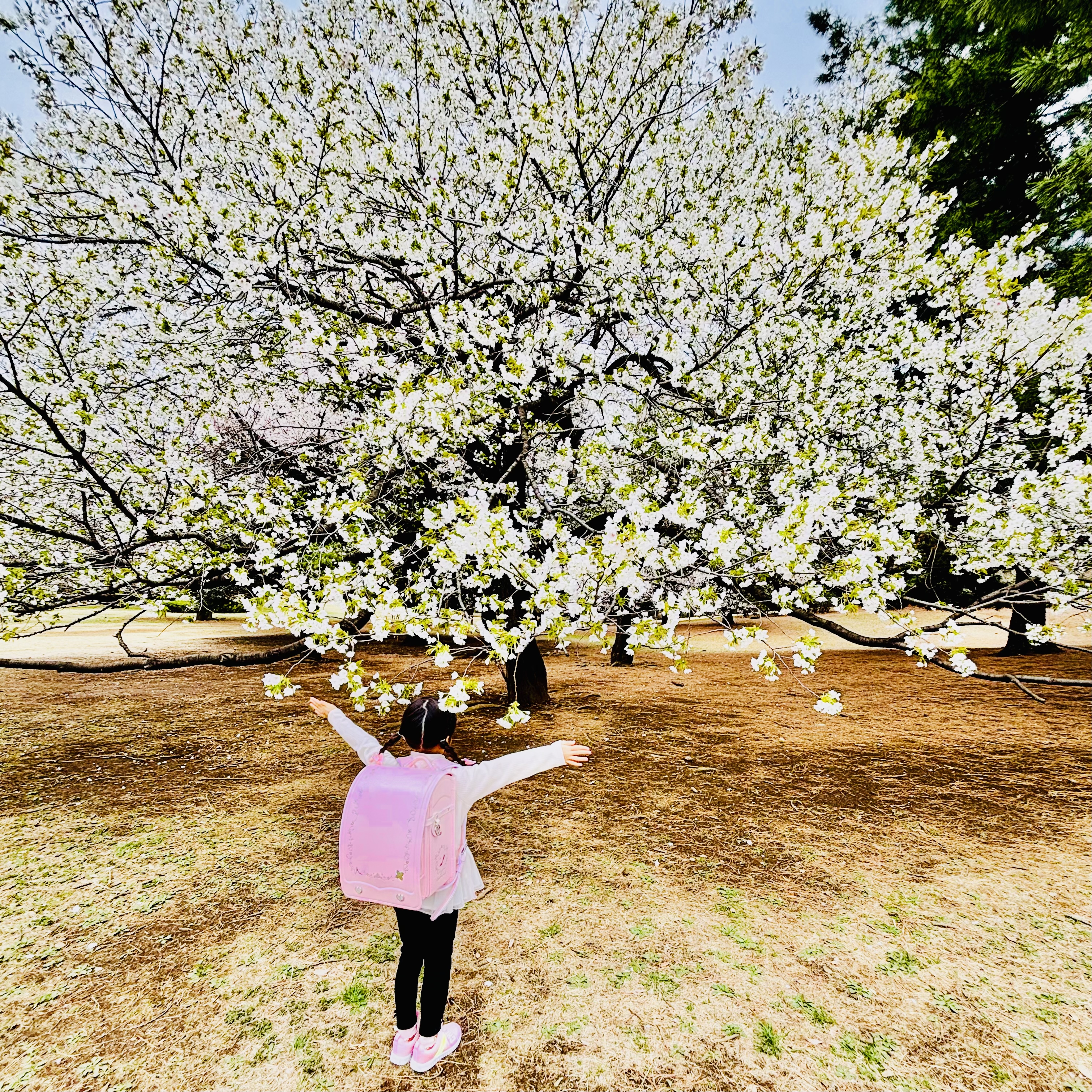 新1年生ママに伝えたい!「1年生のココが大変です」5選