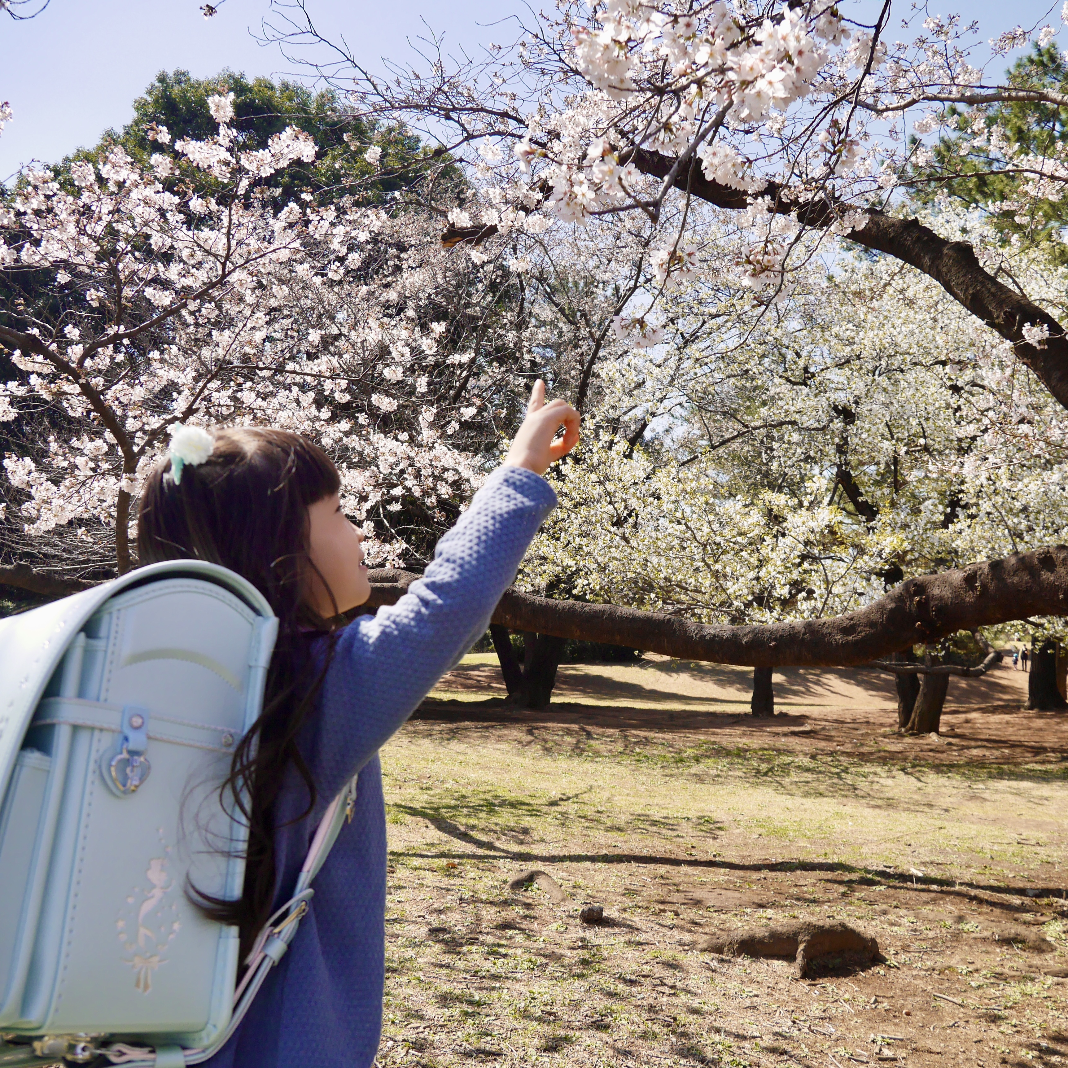 やっぱりキャラ物はダメ?入学準備に必要な文具はみんな無地?