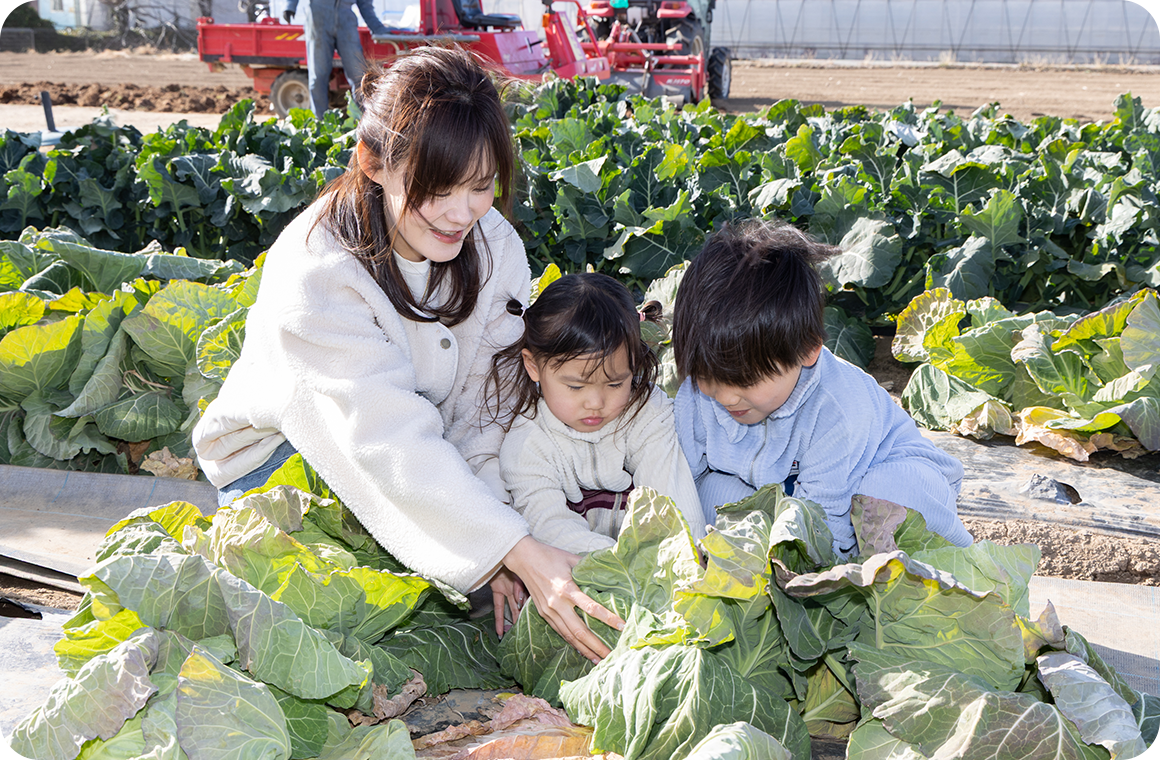 「キャベツって、葉っぱがこんなふうに広がって生えてるんだね」とお兄ちゃん。