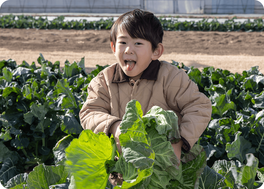 「うーん……これに決めた。これにする!」