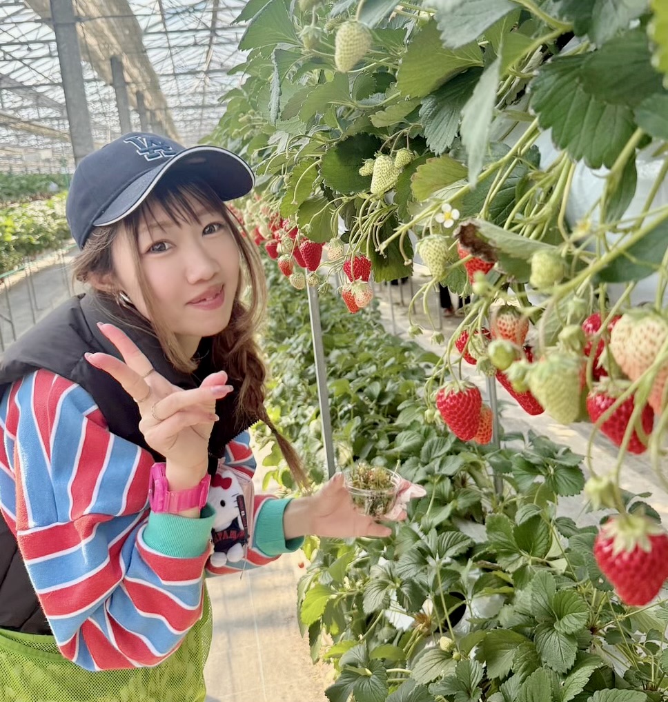 子連れいちご狩りレポ。服装と持ち物、汚れ対策まとめ