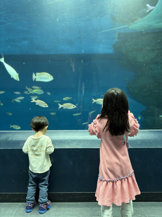 妻が2泊3日韓国旅行へ。5歳3歳と残された私が見つけた海外旅行より価値ある「いつもの日常」