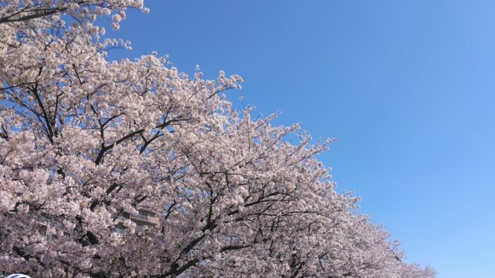 「これどこの？」と聞かれる！手土産マンネリ卒業は近所のお菓子屋さんで