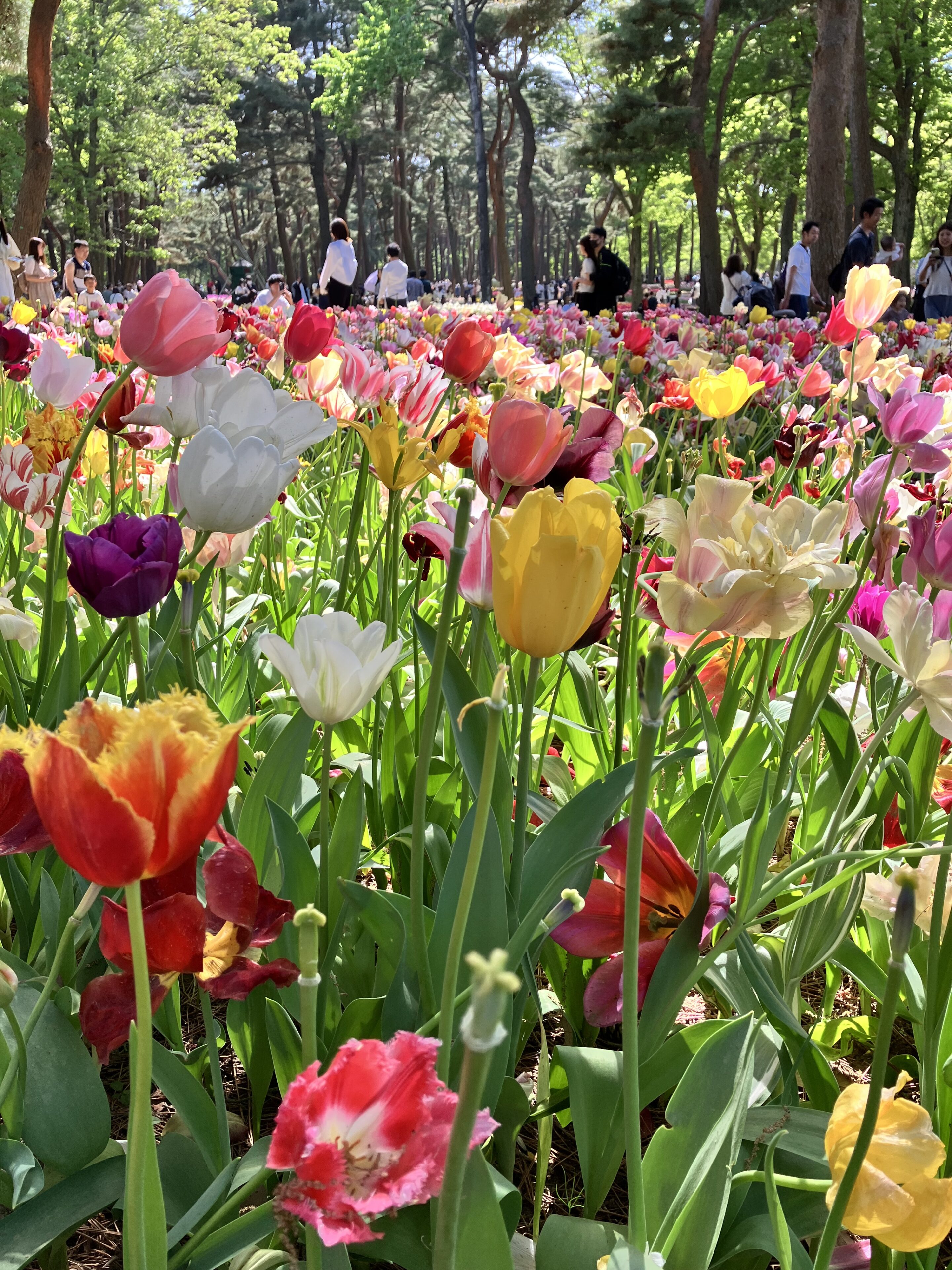 子育て世代の恐怖と出会い。あなたはどう生きる?