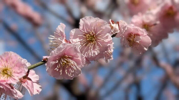 小学校と中学校ってこんなに違う！？親がびっくりした「連絡のリアル」