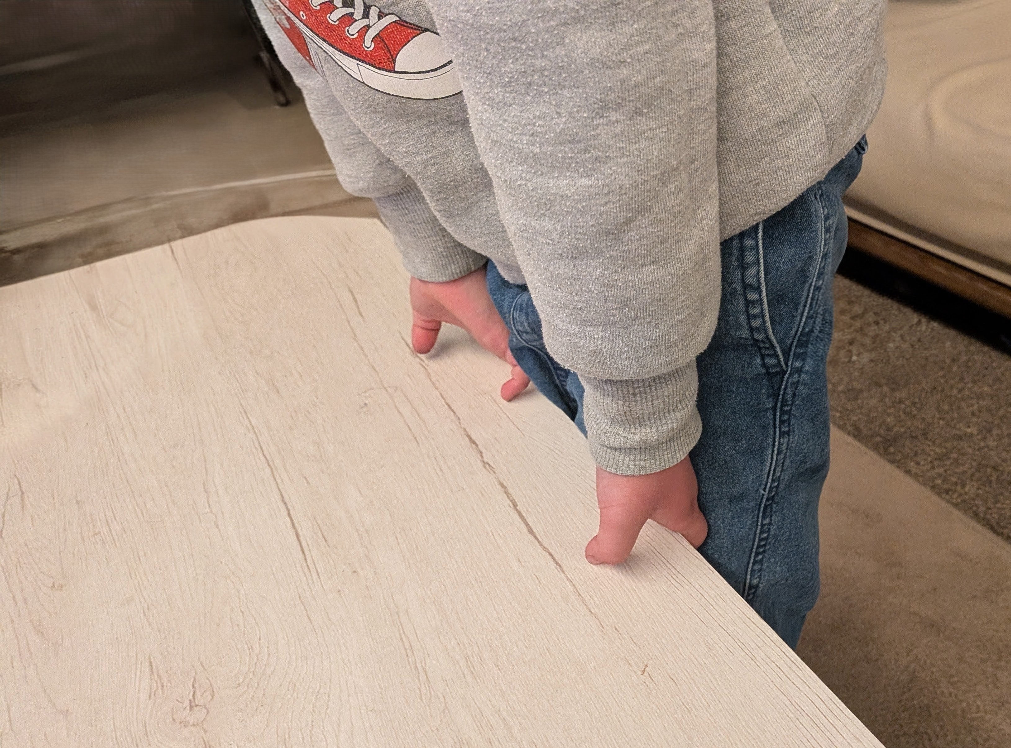 兄弟ゲンカで４歳児が怒り爆発！まさかのちゃぶ台返し寸前！？