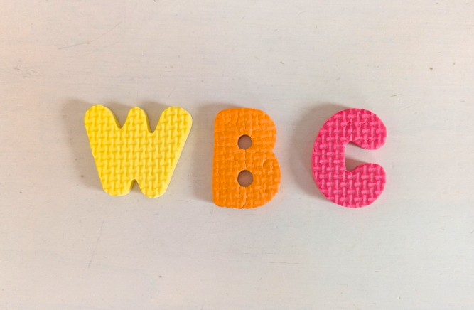 サブスク登録したのにWBCが視聴できず…原因が判明し夫と息子に白い目で見られた話