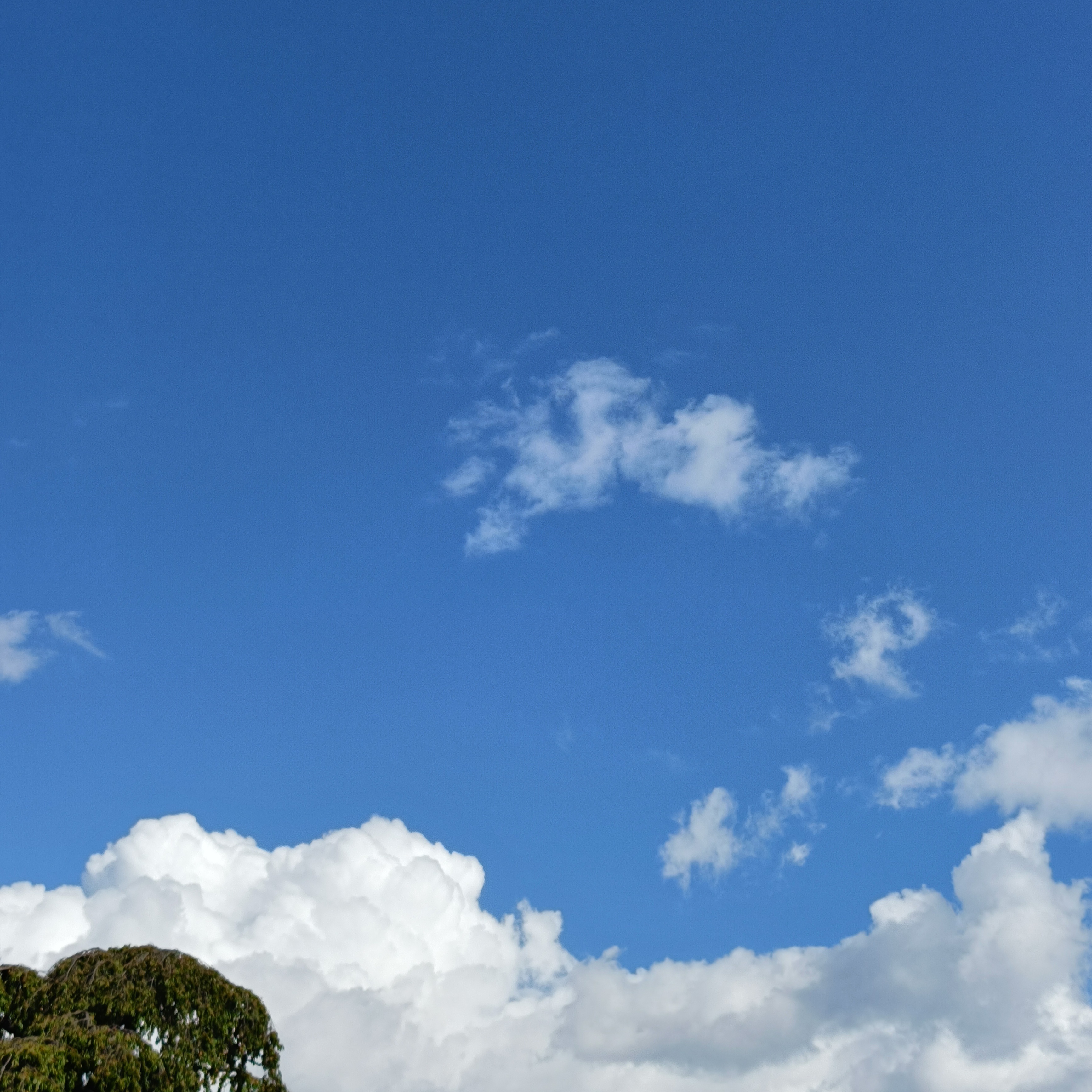 子育てに正解はいらなかった。「とりあえず楽しむ」子育てへ。40代ママになって気づいたこと