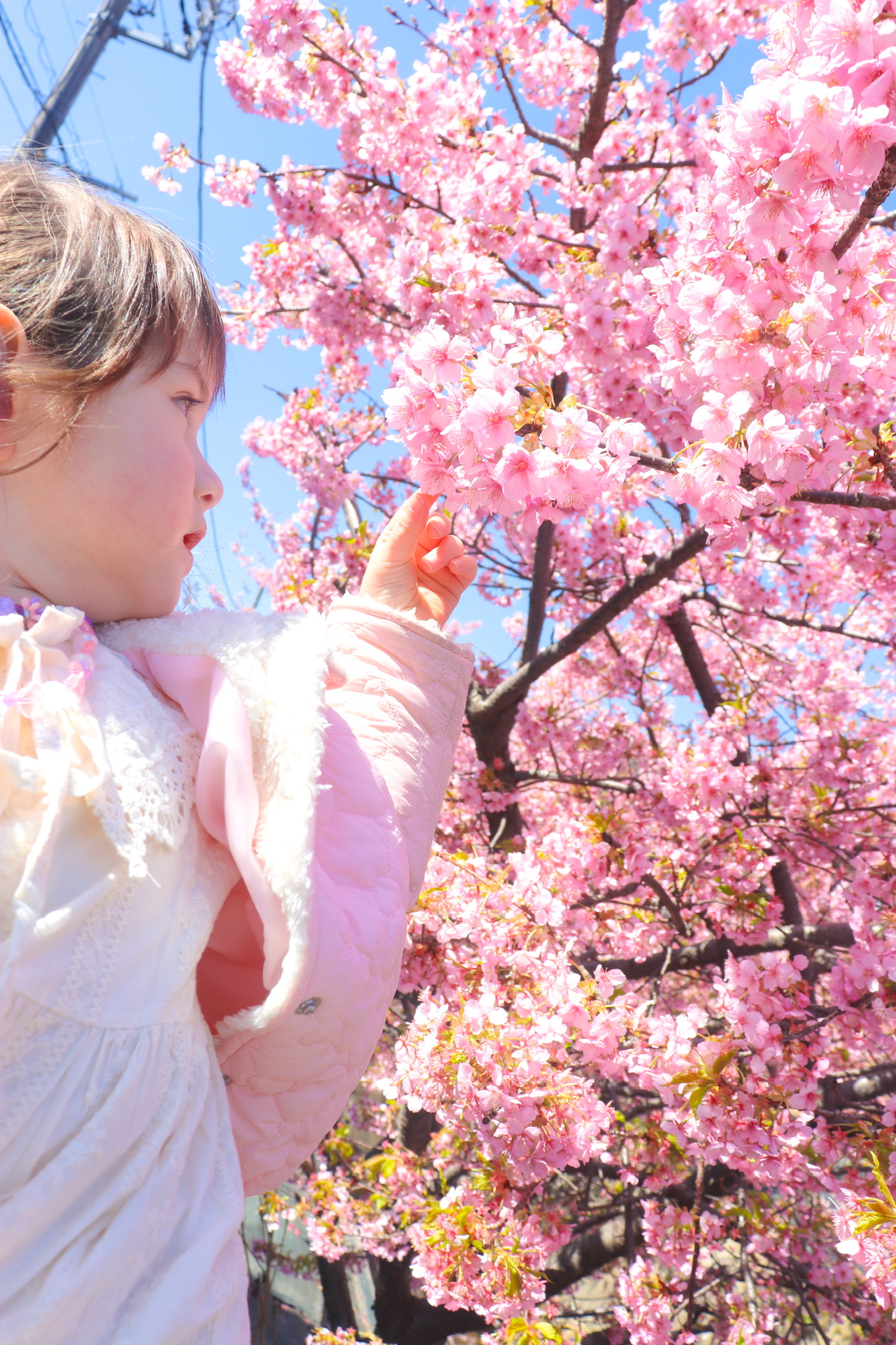 新生活で不安いっぱいの子どもたちに。引っ越し後の心を整えたのは「○○」でした